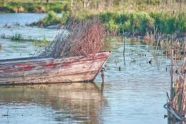 Gölde eski bir balıkçı teknesi. Çimlerle kaplanmış. Eski ahşap