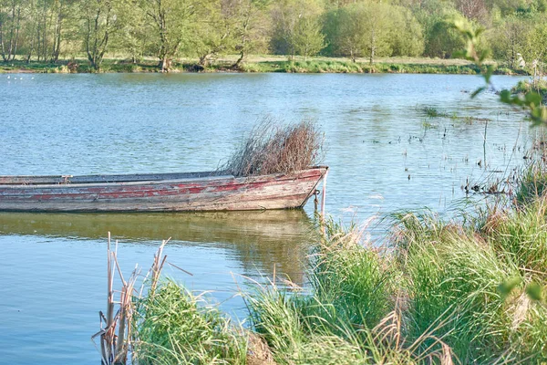 Старая рыбацкая лодка на озере. Заросший травой. Старое дерево и — стоковое фото