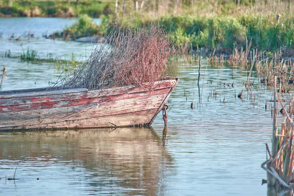 Stara łódź rybacka na jeziorze. Zarośnięta trawą. Stare drewno i — Zdjęcie stockowe