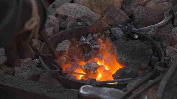 Smed Arbetar Smedja Elden Brinner Metallen Smälter Kolet Härden Smidesjärn — Stockvideo