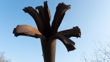 Tankın topları parçalandı. İkinci Dünya Savaşı. Barış ve Savaşın Sonu Sembolü