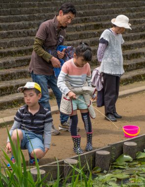 Yerli halk ve turistler Suigo Itako Iris çiçek Festivali sırasında.