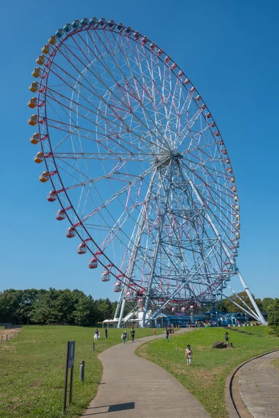 Roue géante ferris — Photo