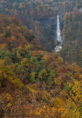 Kegon şelale, Nikko, Japonya