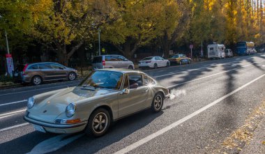 Araba Ginkgo ağacının altında