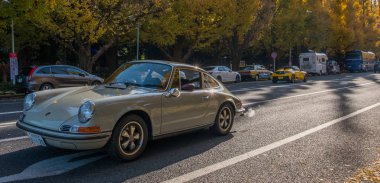 Araba Ginkgo ağacının altında