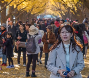 Yöre halkı ve turistlerin ginkgo ağaçları sonbahar renkleri zevk