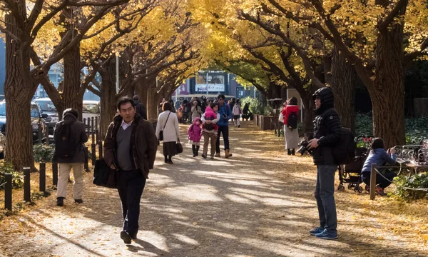 Místní obyvatele a turisty těší podzimní barvy ginkgo stromů — Stock fotografie