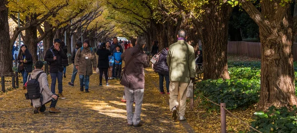 Lokale bevolking en toeristen genieten van de herfst kleuren van Ginkgo biloba bomen — Stockfoto