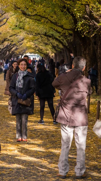 Población local y turistas disfrutando de los colores otoñales de los árboles de ginkgo —  Fotos de Stock