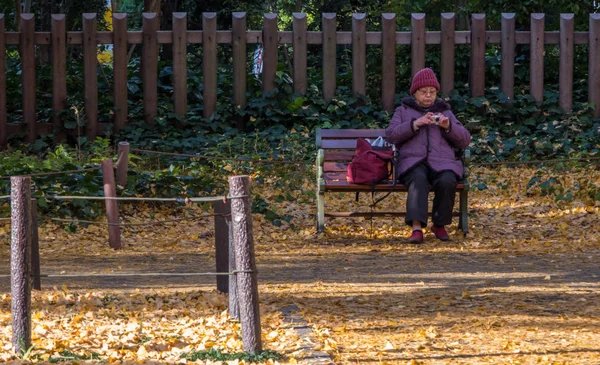 Gente del posto e turisti che si godono i colori autunnali degli alberi di ginkgo — Foto Stock