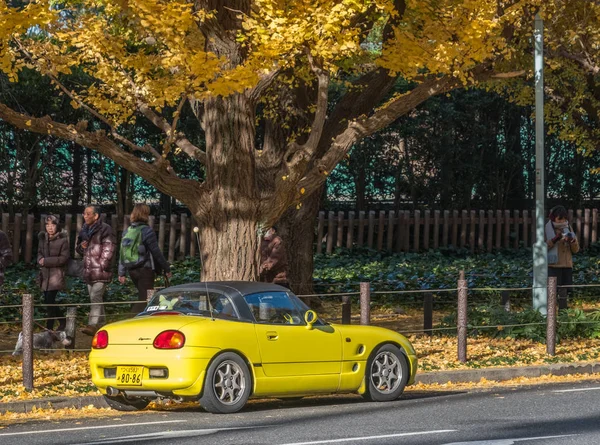 Car Under Ginkgo Tree — Stock Photo, Image