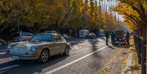 Araba Ginkgo ağacının altında — Stok fotoğraf