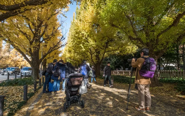 Población local y turistas disfrutando de los colores otoñales de los árboles de ginkgo —  Fotos de Stock