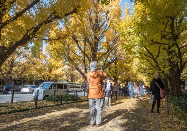 Población local y turistas disfrutando de los colores otoñales de los árboles de ginkgo —  Fotos de Stock