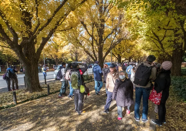 Pessoas locais e turistas que apreciam as cores de outono de ginkgo árvores — Fotografia de Stock