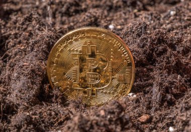 Bitcoin Bahçe topraklarında kavramsal görüntü