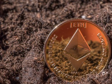 Bahçe topraklarında ethereum madalyonun kavramsal görüntü