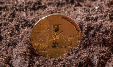 Litecoin kavramsal görüntü Bahçe topraklarında