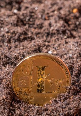Litecoin kavramsal görüntü Bahçe topraklarında