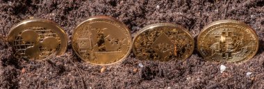 Popüler cryptocurrency dalgalanma madeni para, litecoin, ethereum ve bitcoin Bahçe topraklarında