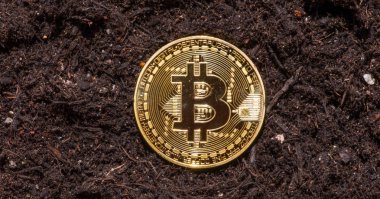 Bitcoin Bahçe topraklarında kavramsal görüntü