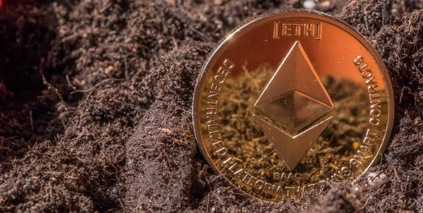 Immagine Concettuale Della Moneta Ethereum Sul Terreno Del Giardino — Foto Stock