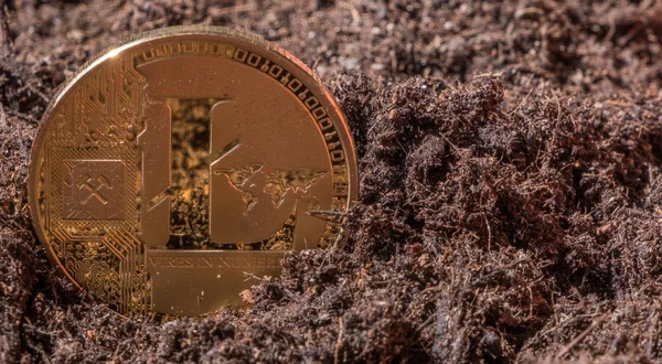 Litecoin kavramsal görüntü Bahçe topraklarında
