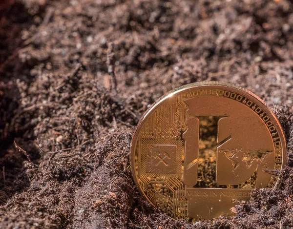 Litecoin kavramsal görüntü Bahçe topraklarında