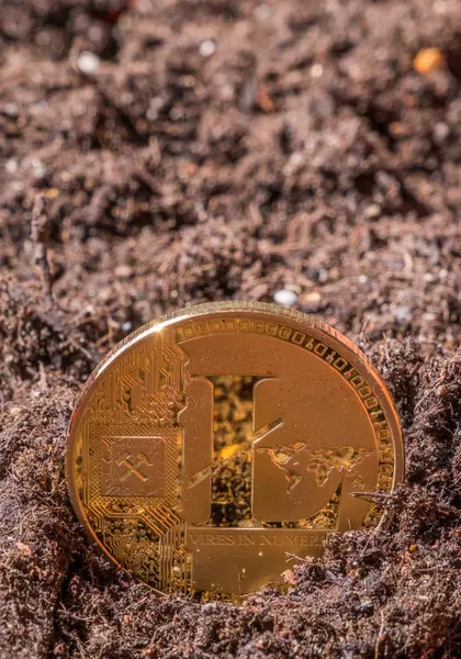 Litecoin kavramsal görüntü Bahçe topraklarında