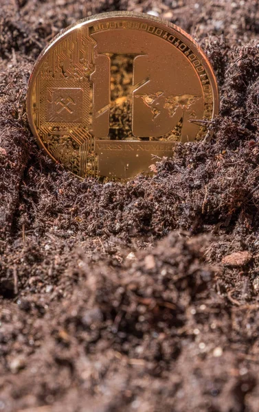 Bahçe topraklarında dalgalanma madalyonun kavramsal görüntü