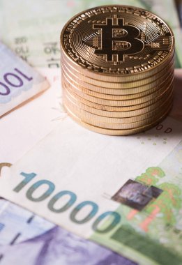 Güney Koreli Bitcoin Kripto para paralar kazandı