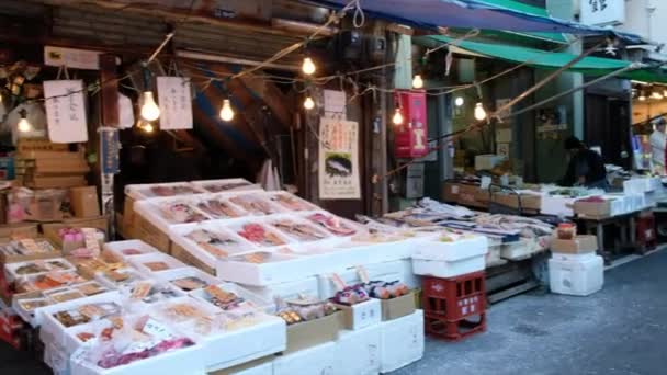 Toeristen Reizigers Bij Tsukiji Market Tokio Japan — Stockvideo