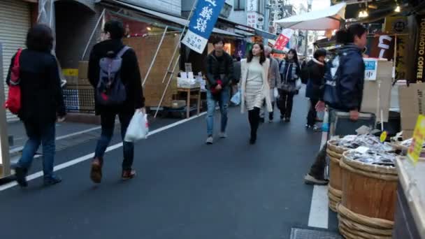 Turister Och Resenärer Tsukiji Market Tokyo Japan — Stockvideo