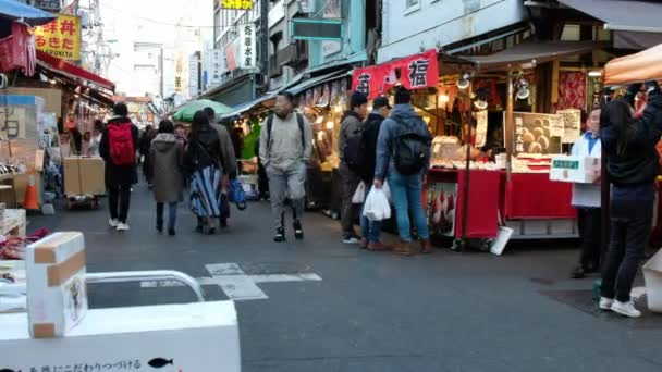 Turystów Podróżnych Targu Tsukiji Tokio Japonia — Wideo stockowe