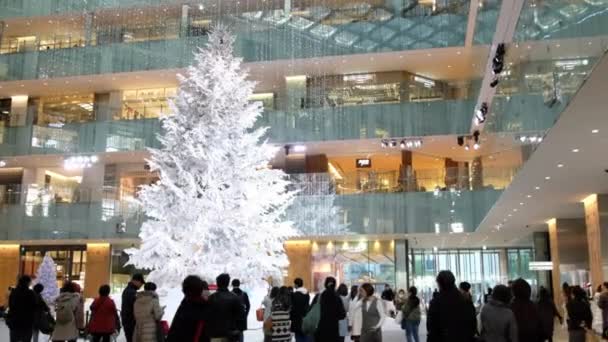 Shoppers Bewonderen Kerstboom Kitte Shopping Complex Tokio Japan — Stockvideo