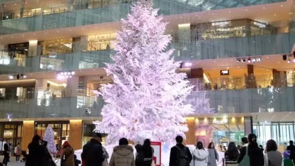 Αγοραστές Θαυμάζοντας Χριστουγεννιάτικο Δέντρο Στο Γατάκι Παζ Εμπορικό Συγκρότημα Τόκιο — Αρχείο Βίντεο