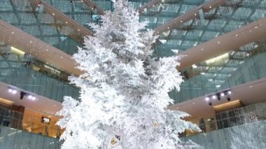 Noel ağacı Kitte alışveriş kompleksi, hayran alışveriş Tokyo, Japonya