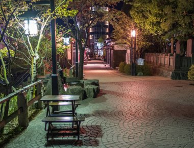 Nawate Dori (ya da kurbağa Street) Matsumoto şehirde geceleri boş