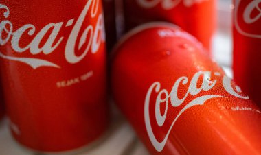 Beyaz arkaplanda kırmızı domates