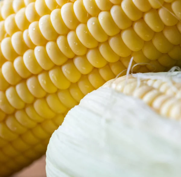 Close Fresh Corn — Stock Photo, Image