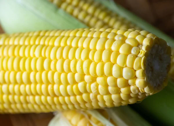 Fresh Corn Cob — Stock Photo, Image