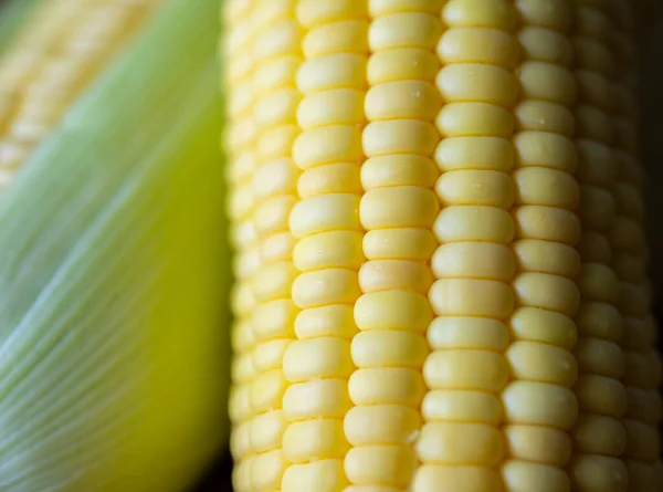 Close Fresh Corn — Stock Photo, Image