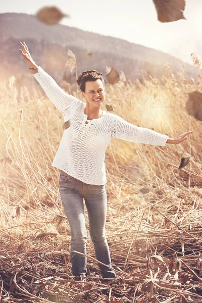 Solen skiner i fältet i vassen. — Stockfoto