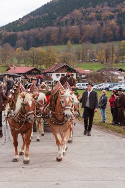 Hundham, Bavyera - 4 Kasım 2017: Her yıl Kasım ayında 1 Cumartesi günü pastoral alayı, Bavyera Hundham Leonhardi adlı alır at yer Patron St. Leonhard anısına. Geleneksel giyim ve dekore edilmiş atlı carr