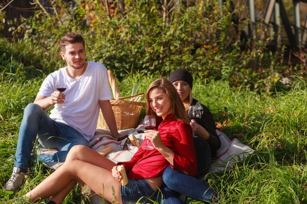 Tres Amigos Están Sentados Hierba Una Manta Picnic Bebiendo Vino — Foto de Stock