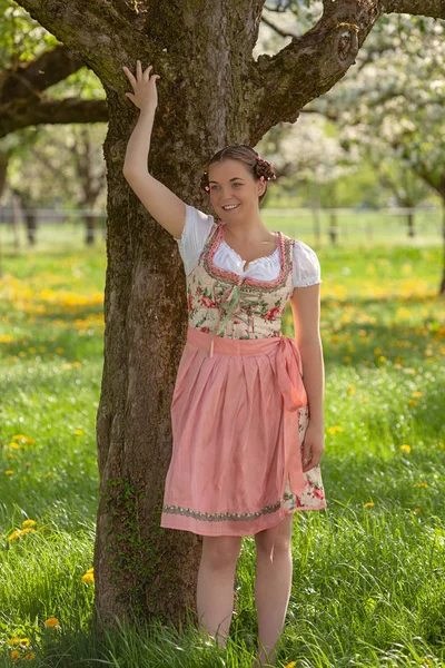 Porträtt Ung Bayerska Flicka Dirndl Och Trendig Frisyr Stående Fruktodling — Stockfoto