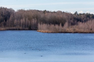 Ainringer Moos, 12000 yıl önceki son buzul çağının doğal tarihidir..