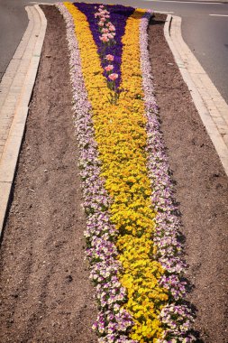 Kavşakta renkli çiçeklerle döşenmiş bir trafik adası.