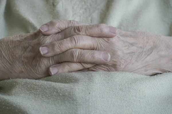 Wrinkled hands of a senior woman — Stock Photo, Image